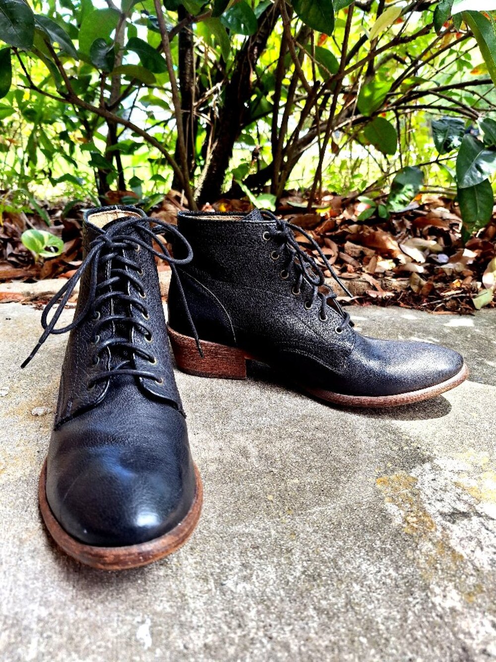FRYE Carson Booties 8 1/2 B Ankle Boots Lace-Up  black textured Leather